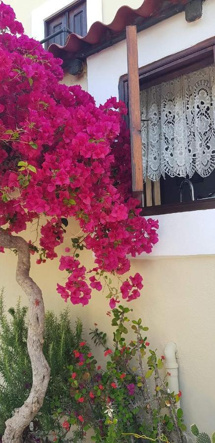Yiayia'S Home Chalki Town Exterior foto